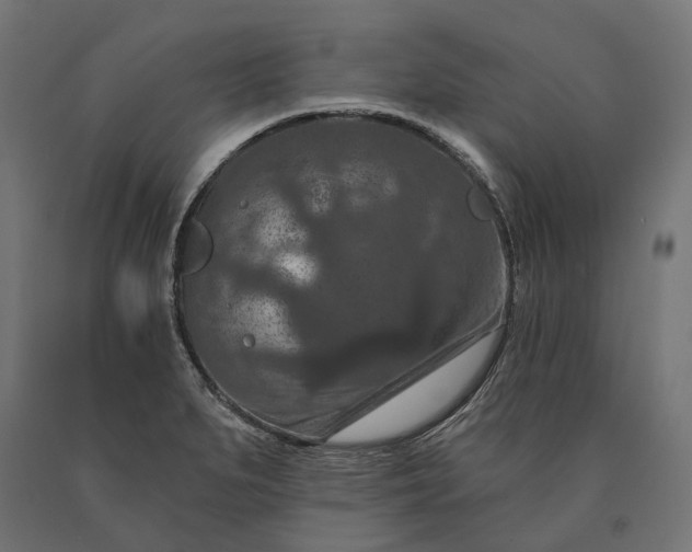 X0000090731279200708031515