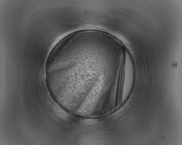 X0000090731280200708031515