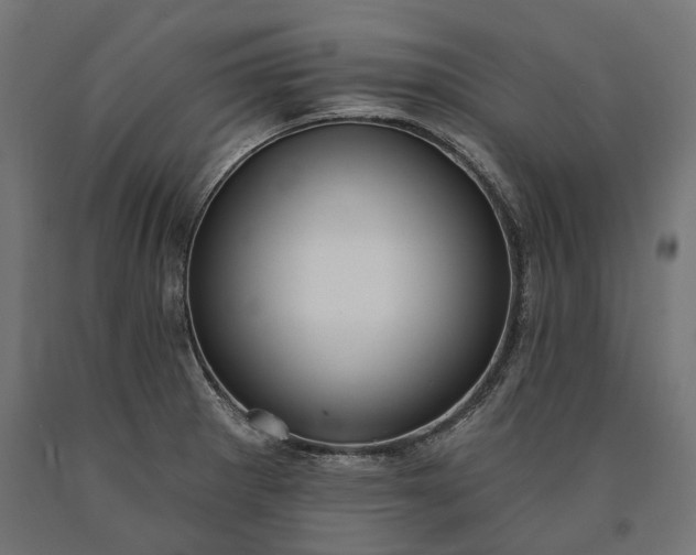 X0000090731281200708031515