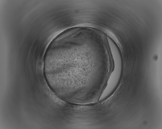 X0000090731284200708031515