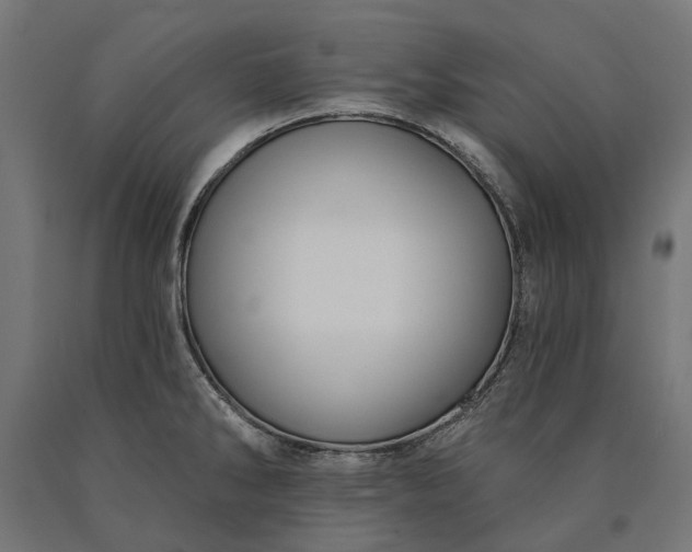 X0000090731286200708031515
