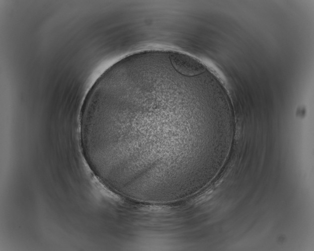 X0000090731287200708031515