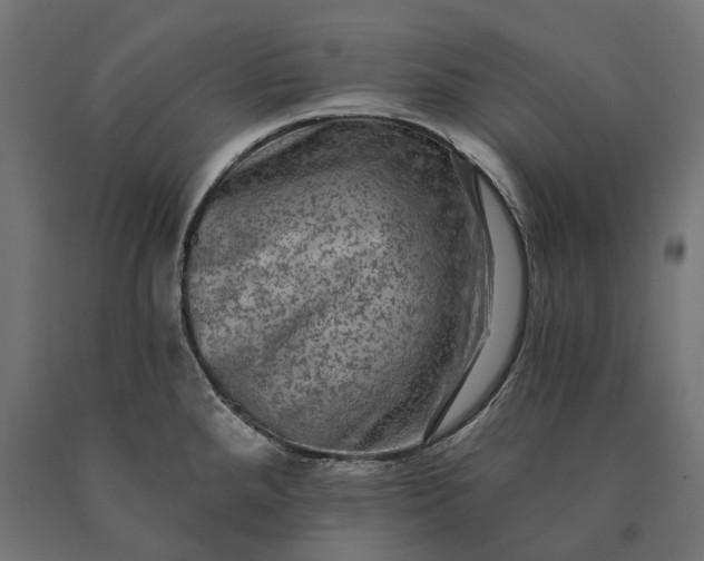 X0000090731288200708031515
