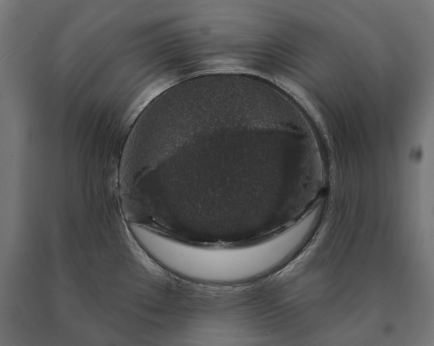 X0000090731289200708031515