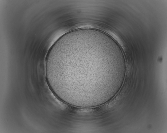 X0000090731290200708031515