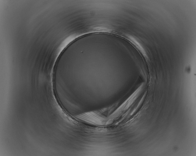 X0000090731291200708031515