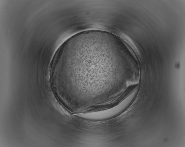 X0000090731292200708031515