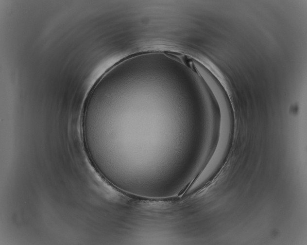 X0000090731293200708031515