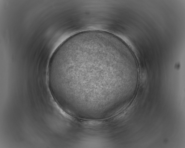 X0000090731294200708031515