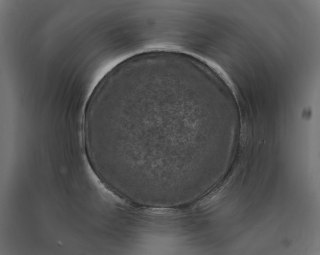 X0000090731295200708031515