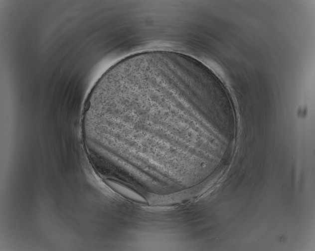 X0000090731296200708031515
