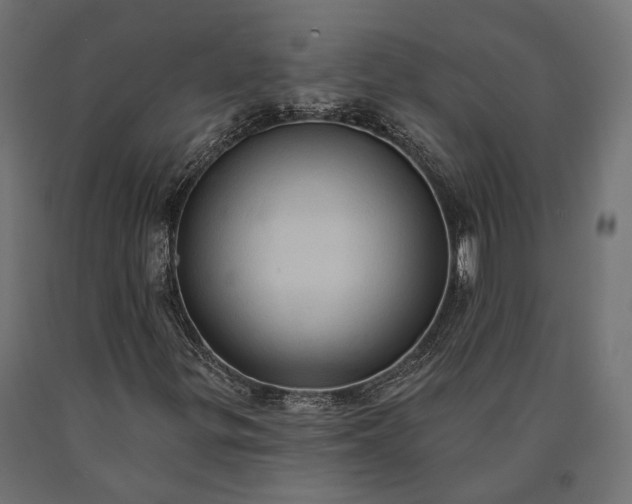 X0000090731299200708031514