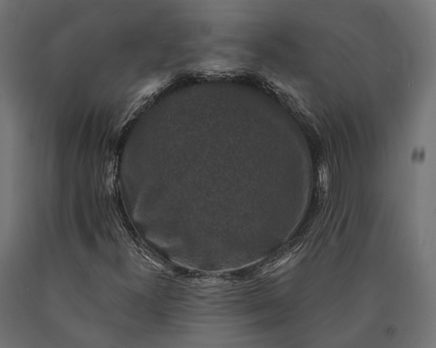 X0000090731300200708031514