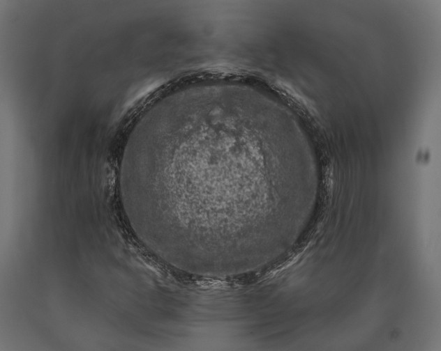 X0000090731302200708031514