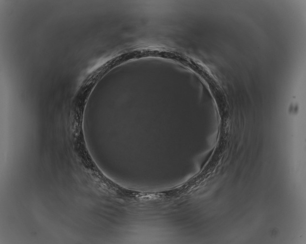 X0000090731303200708031514