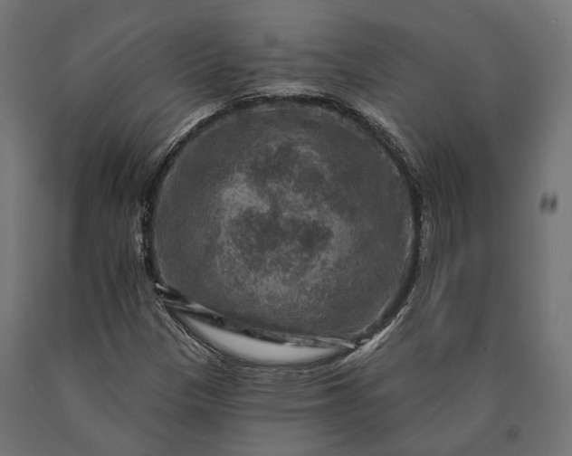 X0000090731305200708031514