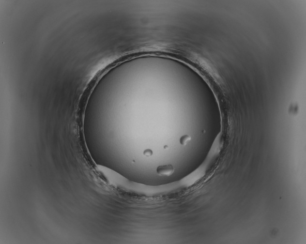 X0000090731308200708031514