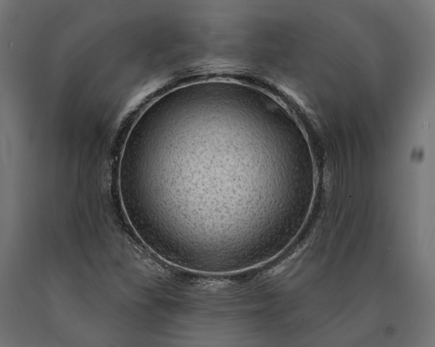 X0000090731309200708031514