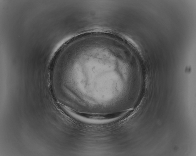 X0000090731310200708031514