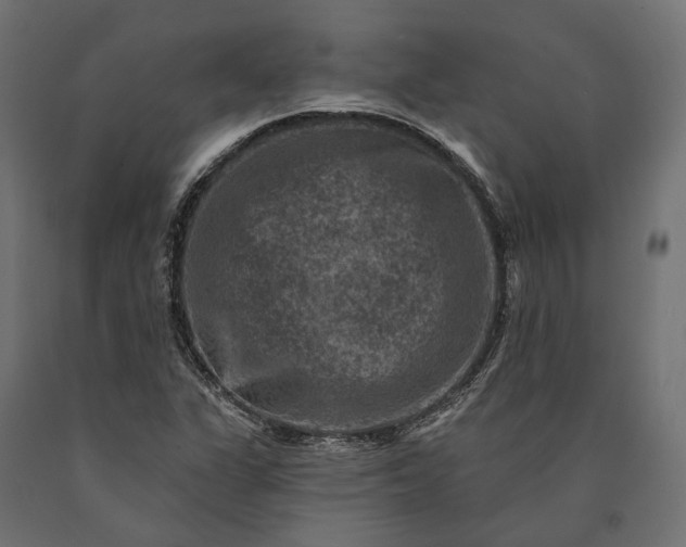 X0000090731311200708031514