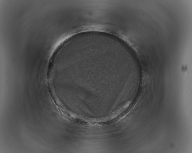 X0000090731312200708031514