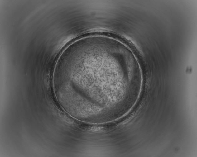 X0000090731313200708031514