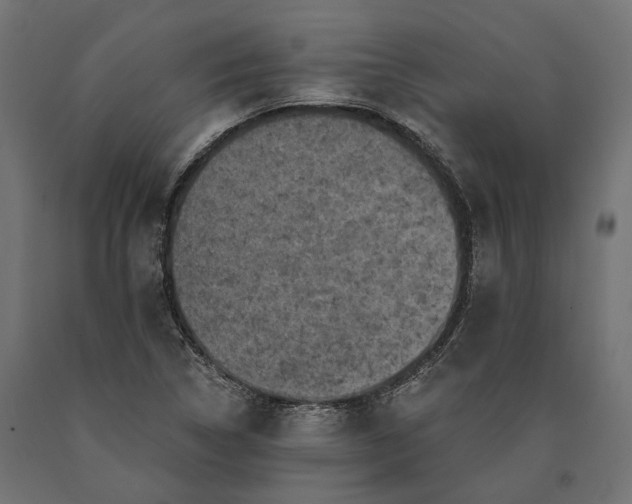 X0000090731314200708031514