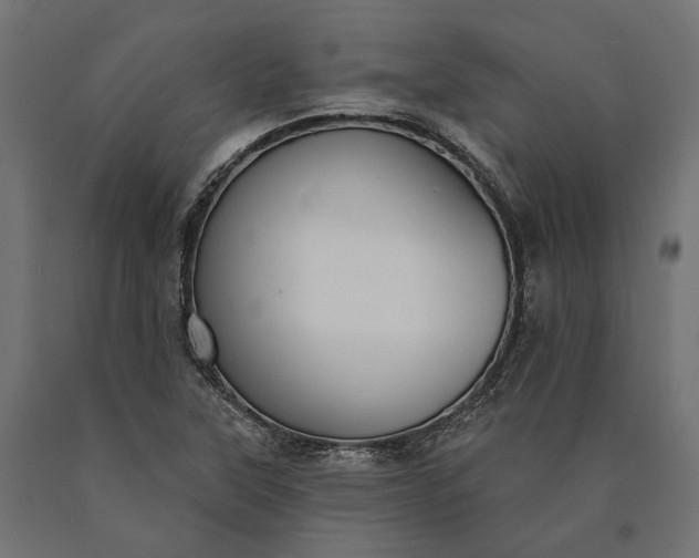 X0000090731315200708031514