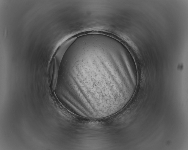 X0000090731316200708031514