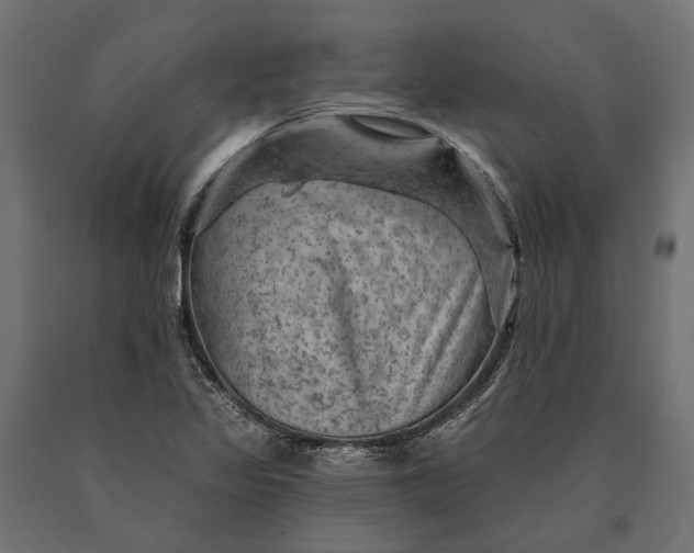 X0000090731317200708031514
