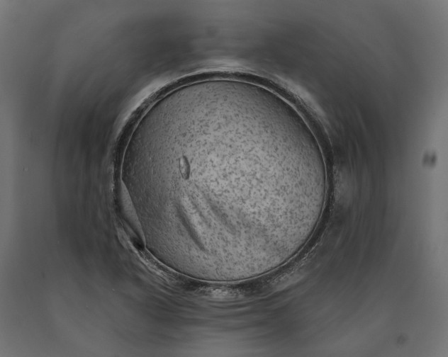 X0000090731318200708031514