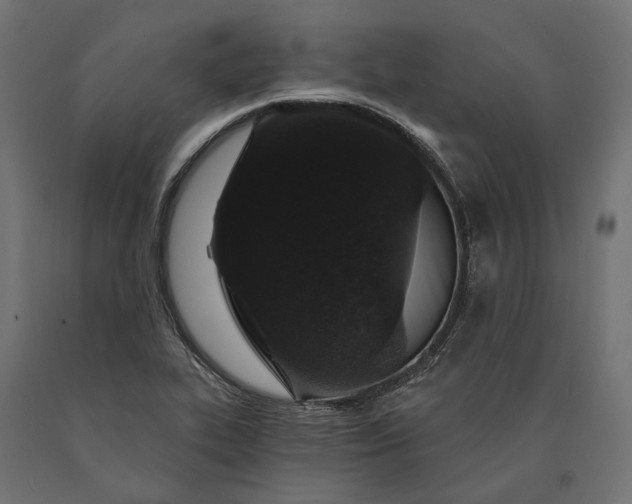X0000090731319200708031514