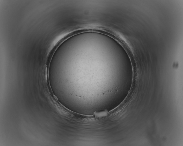 X0000090731320200708031514