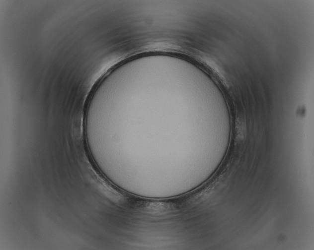 X0000090731322200708031515