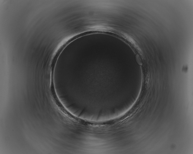 X0000090731323200708031515