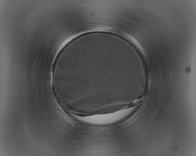 X0000090731324200708031515