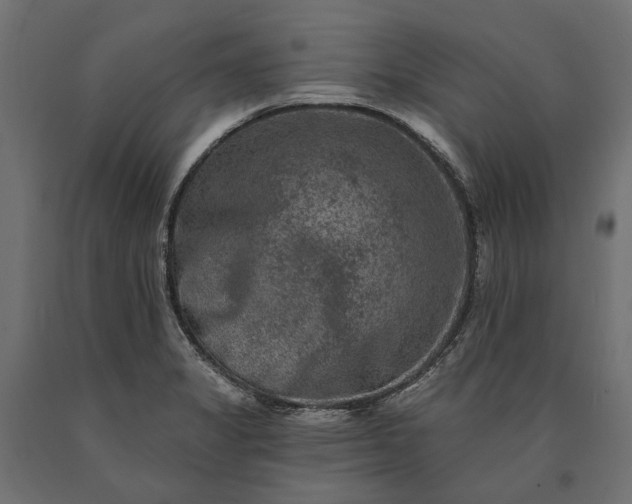 X0000090731325200708031515
