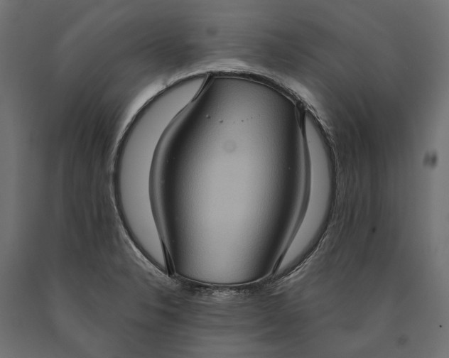 X0000090731326200708031515