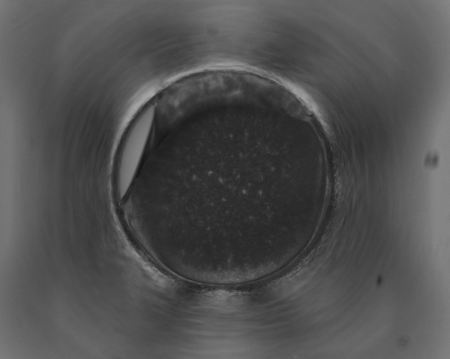 X0000090731327200708031515