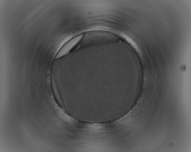 X0000090731329200708031515