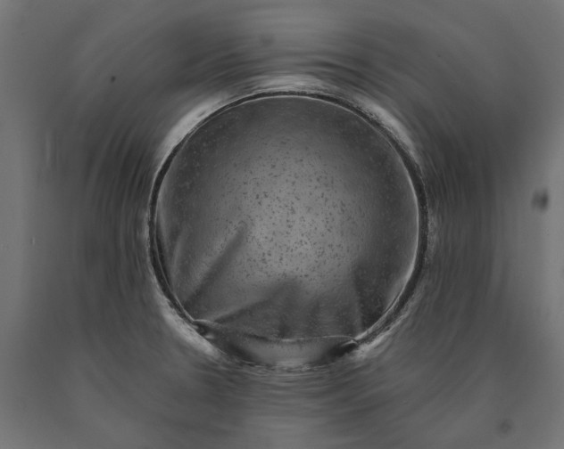 X0000090731330200708031515