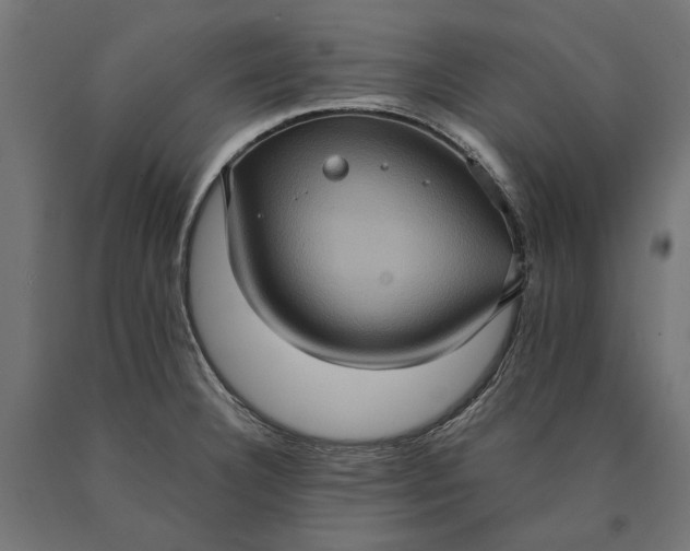 X0000090731332200708031515