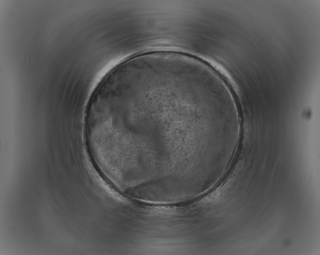 X0000090731333200708031515