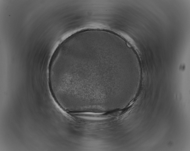 X0000090731335200708031515