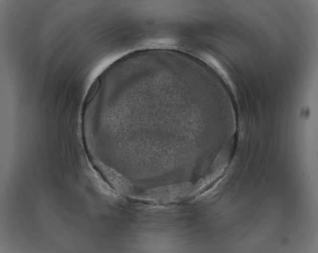 X0000090731336200708031515
