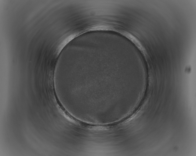 X0000090731337200708031515