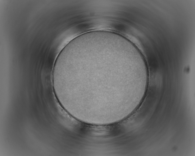 X0000090731338200708031515