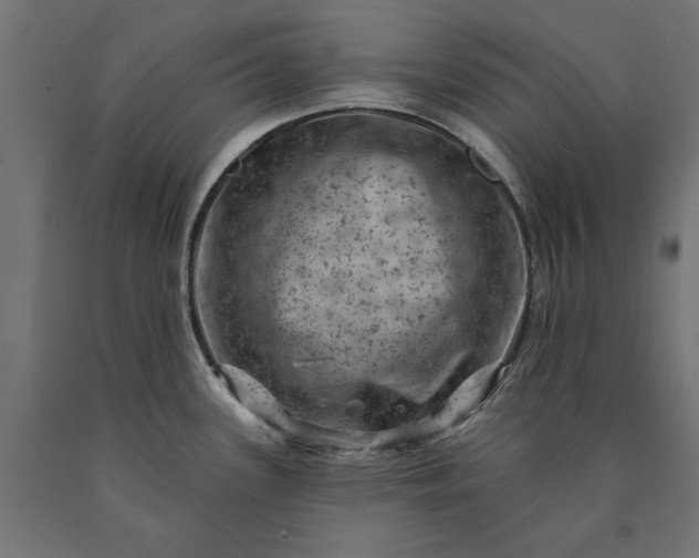 X0000090731339200708031515