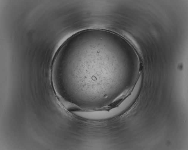 X0000090731340200708031515