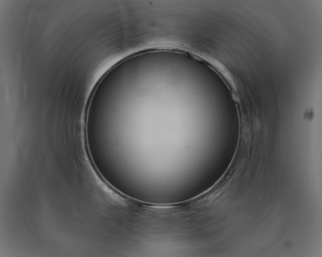 X0000090731343200708031515